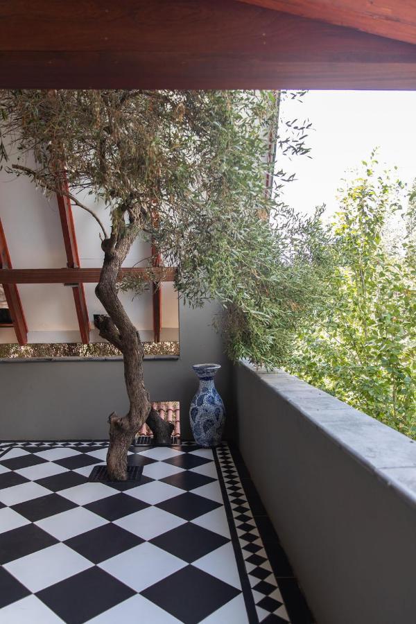 Bella Blue Guesthouse Bloemfontein Exteriör bild